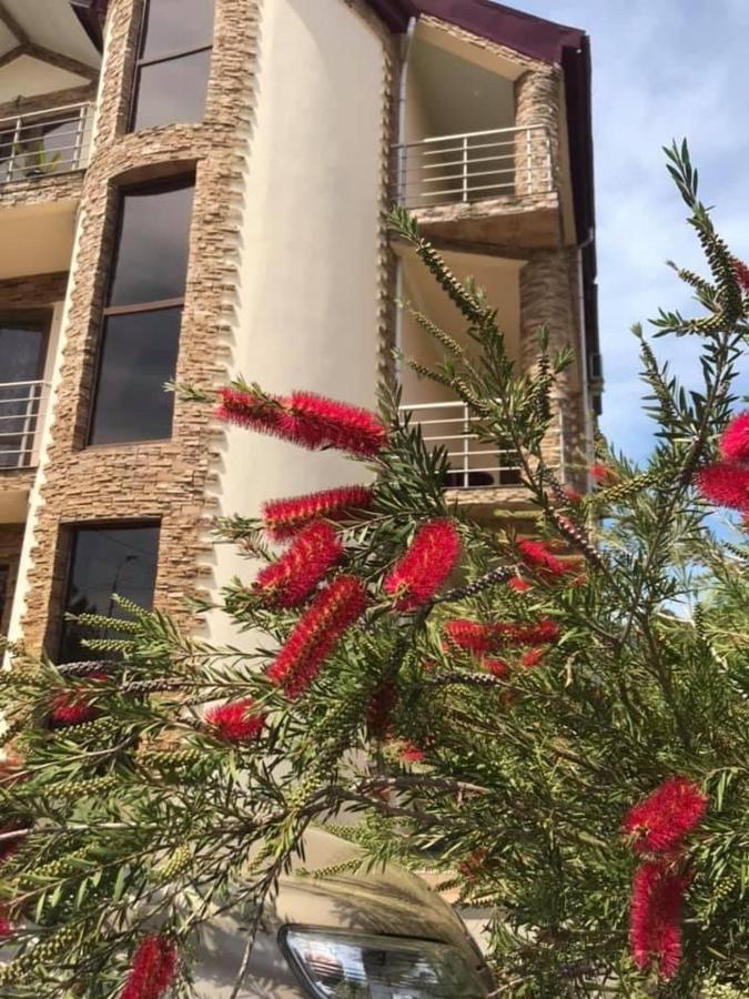 Guest House コブレチ エクステリア 写真